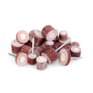 Nhám trụ Kingdom Hàn Quốc